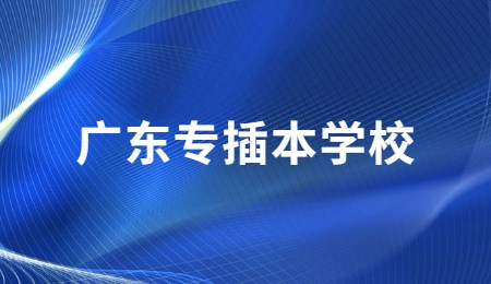 广东专插本学校.jpg