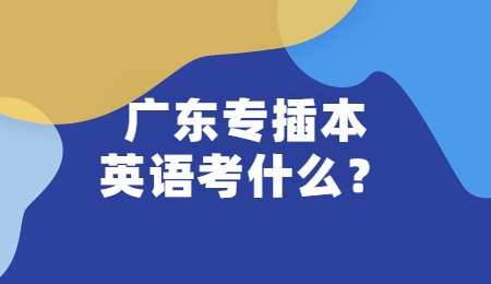 广东专插本英语考什么?.jpg