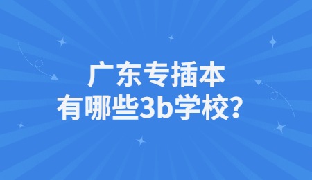 广东专插本有哪些3b学校？.jpg