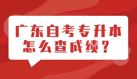 广东自考专升本怎么查成绩？.jpg