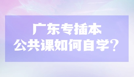 广东专插本公共课如何自学？.jpg