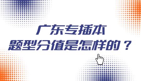 广东专插本题型分值是怎样的?.jpg
