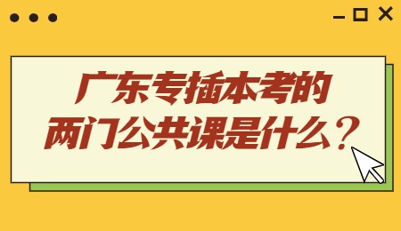 广东专插本考的两门公共课是什么?.jpg