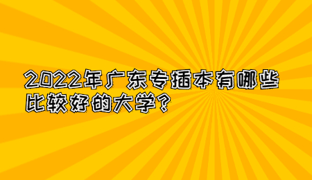 2022年广东专插本有哪些比较好的大学?