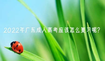 2022年广东成人高考应该怎么复习呢.jpg