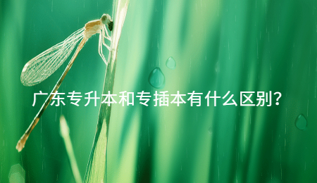 广东专升本和专插本有什么区别?.jpg