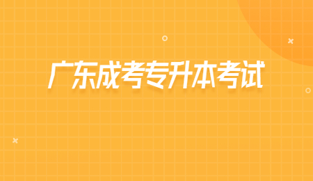 广东成考专升本考试