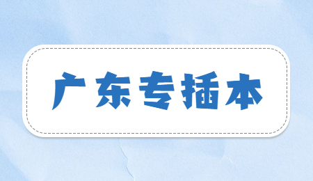 广东专插本