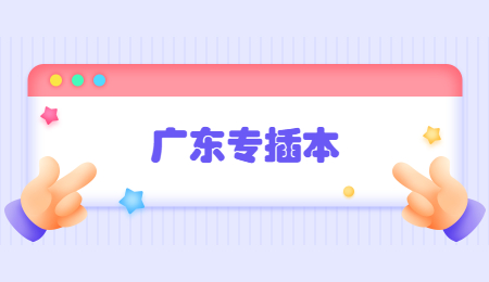 广东专插本