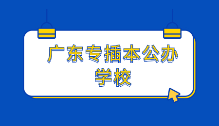 广东专插本公办学校