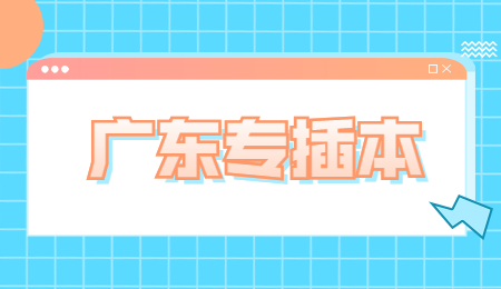 广东专插本