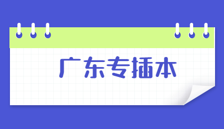 广东专插本