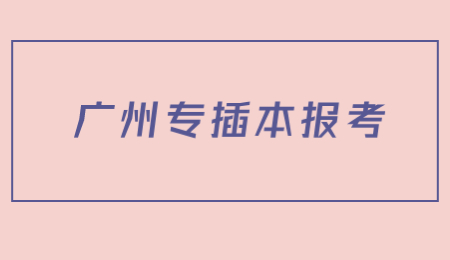 广州专插本报考
