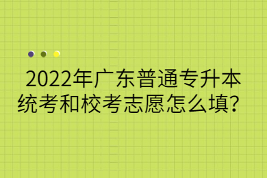 2022年广东普通专升本统考和校考志愿怎么填?