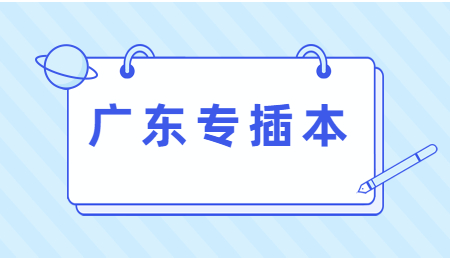 广东省专插本
