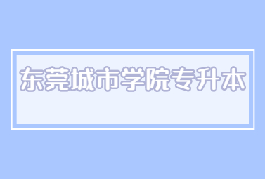 东莞城市学院专升本