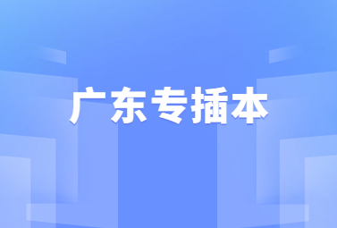 广东专插本