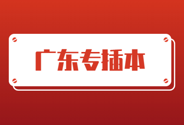 广东专插本