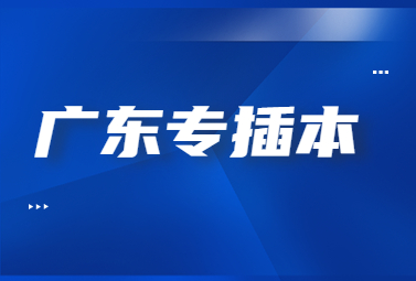 广东专插本