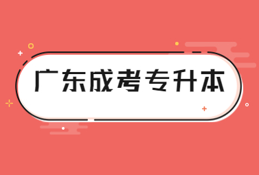 广东成考专升本
