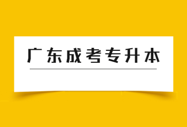 广东成考专升本