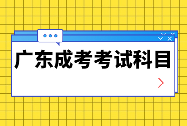 广东成考考试科目