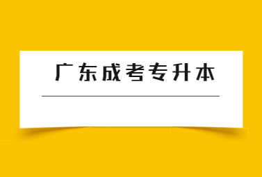 广东成考专升本