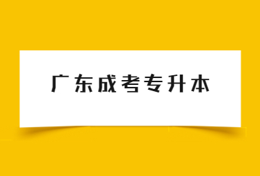 广东成考专升本